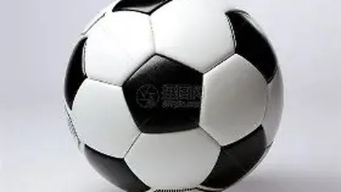 加拿大对戴维斯重伤处理失当，德雷森呼吁彻查